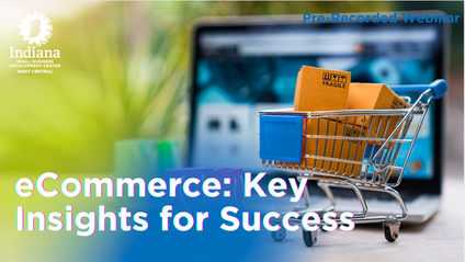 Product image for eCommerce: Key Insights for Success