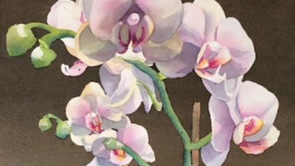 Product image for Elegant Orchids, May 21