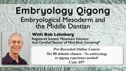 Product image for Embryology Qi: Embryological Mesoderm and the Middle Dantian