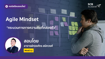 Product image for AGILE MINDSET