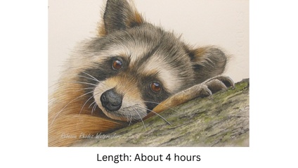 Product image for Raccoon in Watercolor