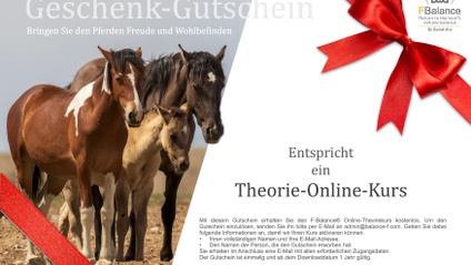 Product image for Geschenk-Gutschein Theorie-Online-Kurs