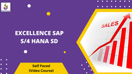 Product image for Excellence SAP S/4 Hana Sd