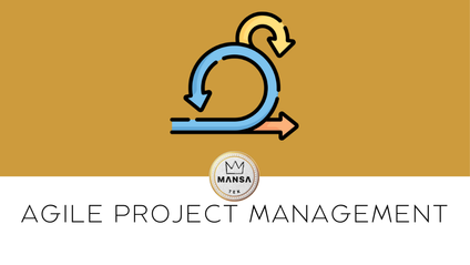 Product image for AGILE PROJECT MANAGEMENT