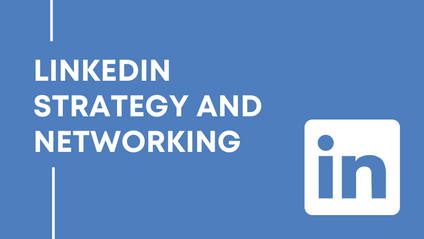 Product image for LinkedIn Profile Perfection
