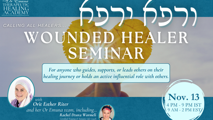 Product image for Wounded Healer 2024