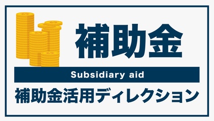 Product image for ​補助金活用ディレクション