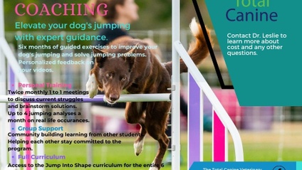 Product image for Jump Into Shape Coaching