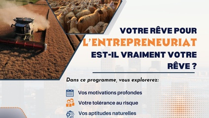 Product image for COMMENT TESTER SON REVE POUR L'ENTREPRENEURIAT ?