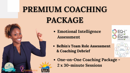 Product image for Premium Coaching Package   