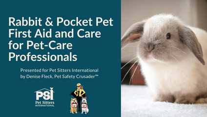Product image for Rabbit & Pocket Pet First Aid and Care for Pet-Care Professionals