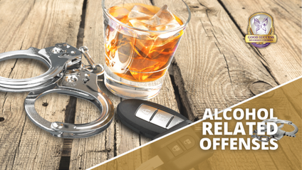 Product image for Alcohol Related Offenses