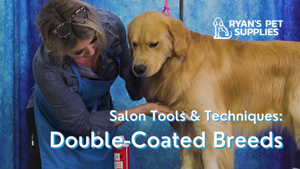 Product image for Salon Tools & Techniques: Double-Coated Breeds