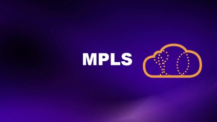 Product image for Multiprotocol Label Switching*