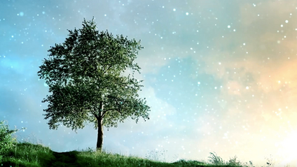 Product image for Quantum Leap to Your Ideal Life 