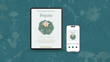 Product image for  Bundle - Healing with Peyote