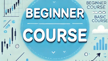 Product image for Beginner Course