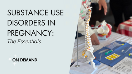 Product image for Addiction Medicine in Pregnancy: The Essentials