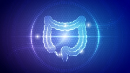 Product image for UWS Bridging Course - Naturopathic & Functional Medicine Approaches to Gastrointestinal Disorders 2025 