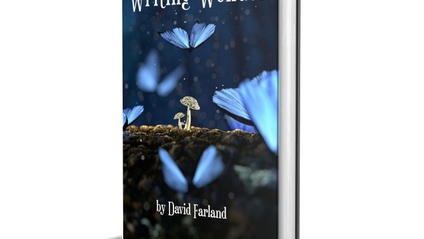Product image for Writing Wonder Book