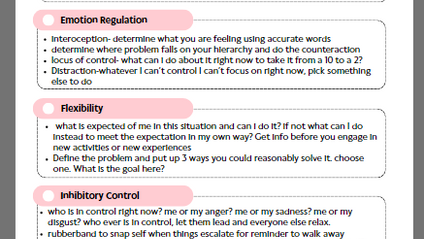 Product image for Executive function interventions
