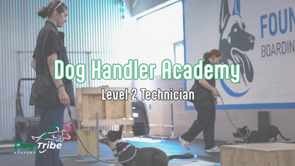 Product image for Dog Handler Academy - Level 2 Technician