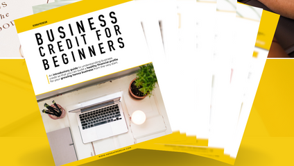 Product image for Business Credit for Beginners Guide