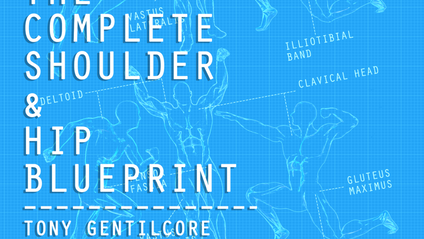 Product image for Complete Shoulder &amp; Hip Blueprint Levels 1 and 2