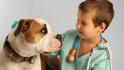 Product image for Part 1 | Bridging the Gap: A Panel Discussion on Human and Animal Health