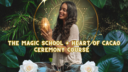 Product image for Magic &amp; Cacao Bundle