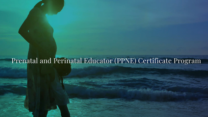 Product image for Prenatal and Perinatal Educator (PPNE) Certificate Program
