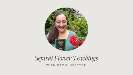 Product image for Sefardi Flower Teachings with Naomi Spector