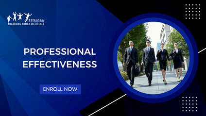 Product image for Professional Effectiveness
