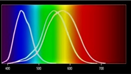 Product image for Dental-Medical Thermography (DMT) Level 1