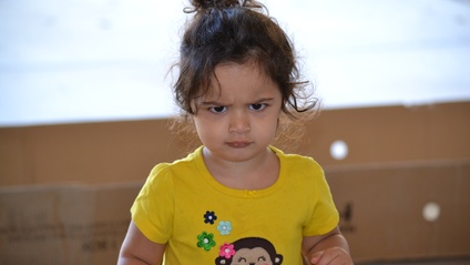Product image for Manejo de límites y berrinches (1-3 años)