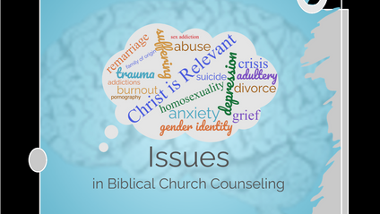 Product image for Issues in Biblical Church Counseling 405