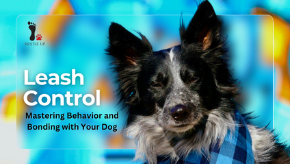 Product image for Leash Control: Mastering Behavior and Bonding with Your Dog
