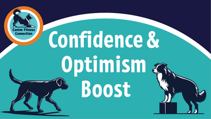 Product image for Confidence & Optimism Boost!
