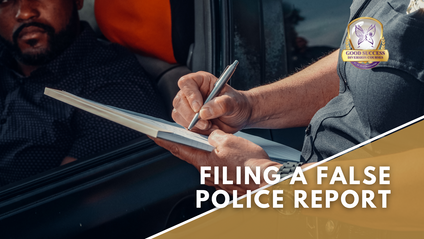 Product image for Filing a False Police Report
