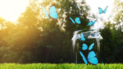 Product image for 1 Year Membership : Life Breakthrough Mastermind Program