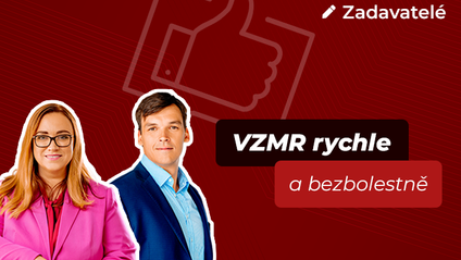 Product image for VZMR rychle a bezbolestně