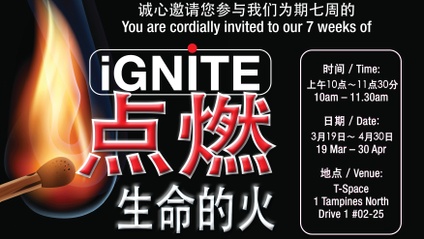Product image for Ignite 点燃生命的火