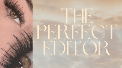 Product image for The Perfect Editor 
