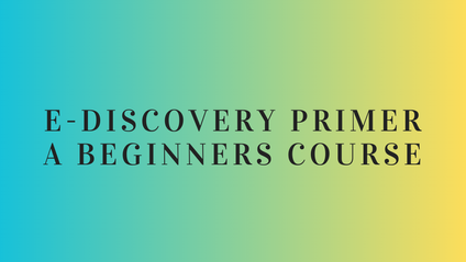 Product image for e-Discovery Primer - A Beginners Course