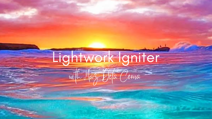 Product image for Lightwork Igniter