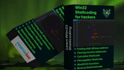 Product image for Win32 Shellcoding