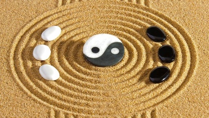 Product image for Life Wisdom & Emotion Guidance