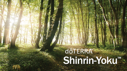 Product image for Shinrin-Yoku