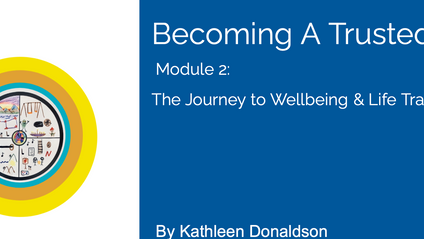 Product image for Module 2 and 3- Becoming A Trusted Adult
