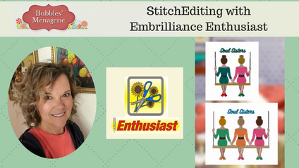 Product image for Stitch Editing with Enthusiast